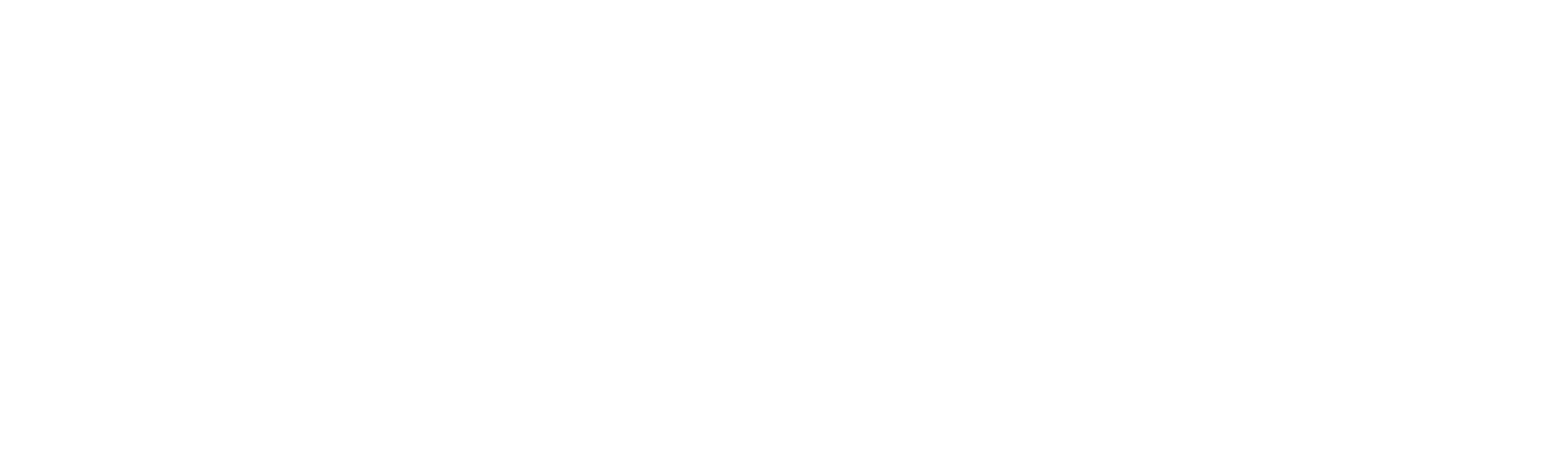NASPO logo