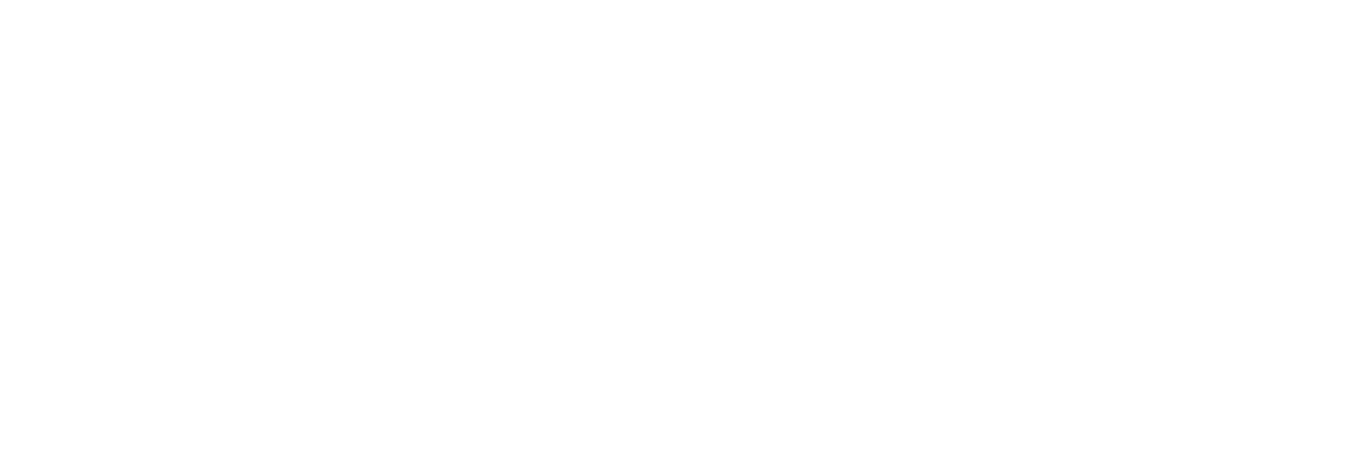 NASPO logo